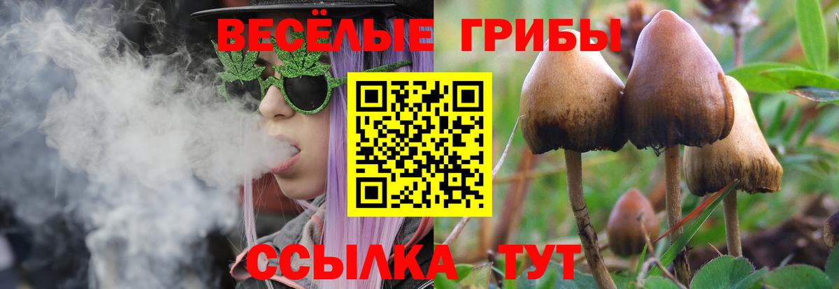 Галлюциногенные грибы Psilocybine cubensis  Вход с VPN  Фурманов 