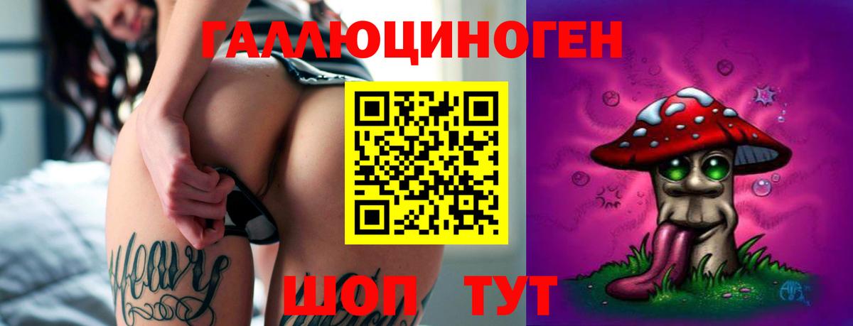 Псилоцибиновые грибы Cubensis Фурманов